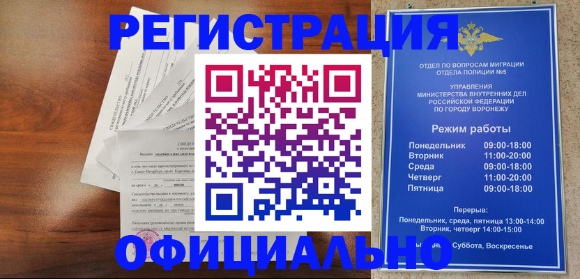 прописка поиск в Вольске